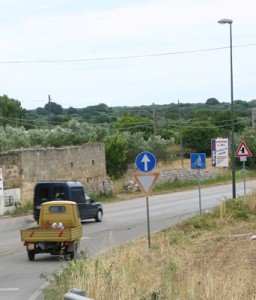 La strada che conduce da Tricase al Porto