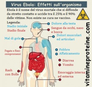 ebola effetti