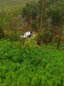 L'auto precipitata fuori strada