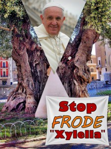 STOP FRODE ''XYLELLA'' - Ulivo simbolico in piazza Sant'Oronzo a Lecce. Papa Francesco