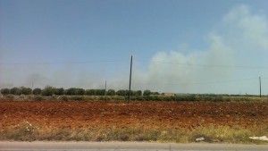 incendio surano