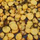 Patate al forno